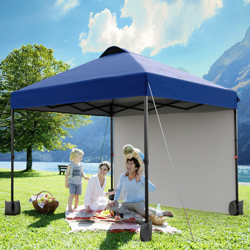 10x10 ft Instant Pop-Up Canopy with Removable Sidewalls, Portable Outdoor Tent with One-Push Setup, Waterproof Sun Shade for Party, Wedding, Backyard, Garden