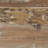 Kenny Solid Wood Bench