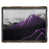 Purple/Grayscale