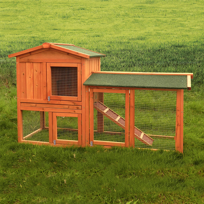  Weather Resistant Hutch with Ramp
