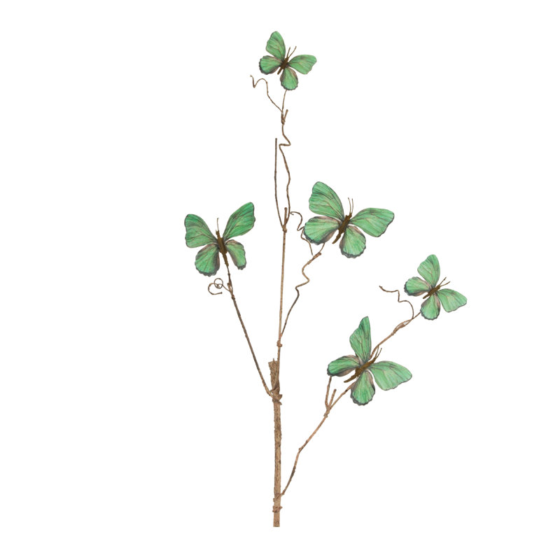 Brindille papillon, Vert