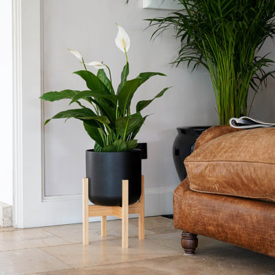 Lisbon Indoor Plant Pot with Wooden Stand