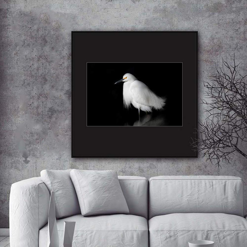 H01 A Bird debout, reproduction sur toile, H 24 po x l 24 po, Noir
