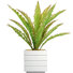 Plante grasse artificielle Bragdon en pot