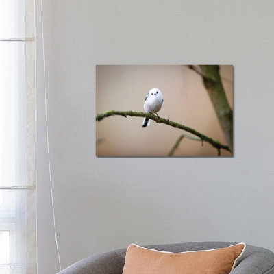 Are You Angry At Me? by Mateusz Piesiak - Wrapped Canvas Print