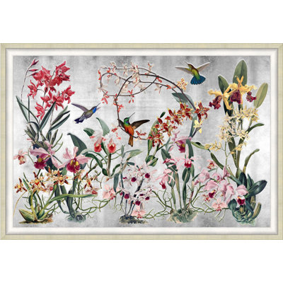 Silver Orchid Garden Print
