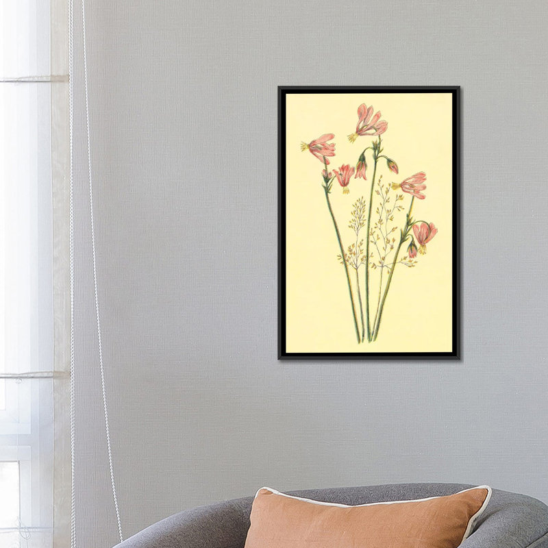 « filante star », impression sur toile, H 26 po x l 18 po x P 1,5 po, Toile avec cadre noir, Pas de tapis