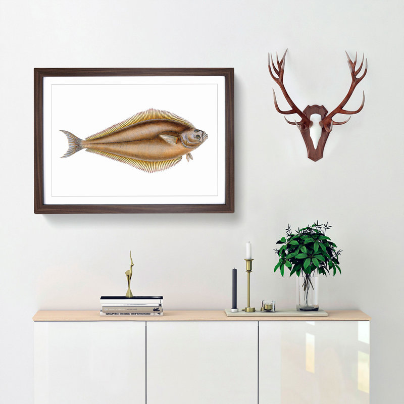 Atlantic Halibut Fish by Edward Donovan - Framed Print, 45cm H x 63cm W x 2cm D, Walnut Framed