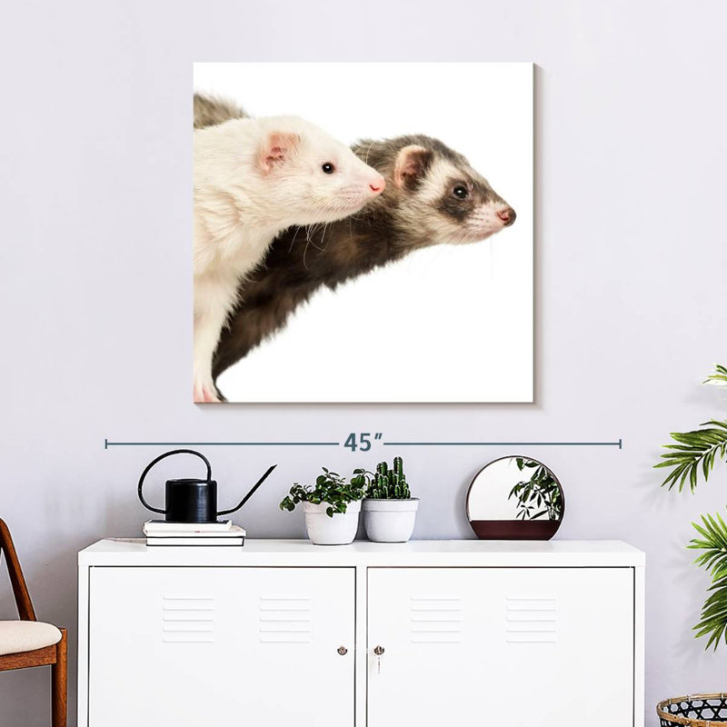 Crowle Two Curious Ferrets, 30" H x 30" W