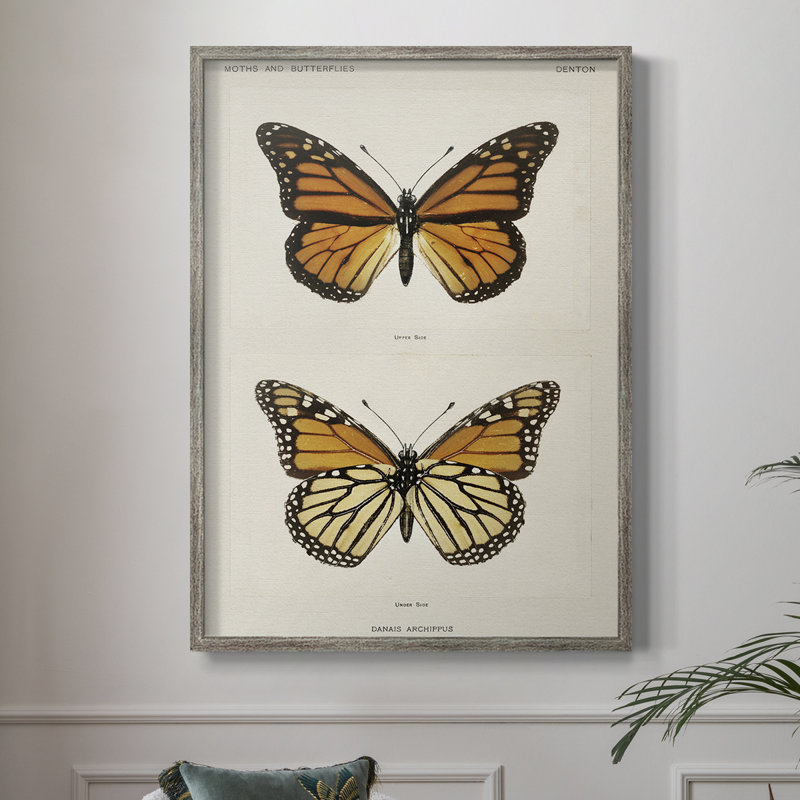 Vintage Animal Print XXIII Framed Print - Solid Wood, 11" H x 9" W