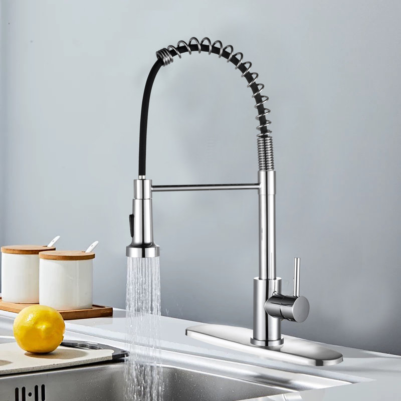 Robinet de cuisine polyvalent en acier inoxydable à double jet pour la maison de campagne et le véhicule récréatif