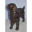 Leamington Golden Retriever dog bronze statue - Size: 26"L x 7"W x 16"H. 