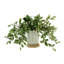 Nugent Faux Tradescantia Plant in Ceramic Vase