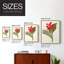 «Flora of the Tropics IV», reproduction encadrée - bois massif-771970585