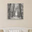 «Speuldimensions Spring BandW», reproduction d'impression sur toile tendue-1365542535