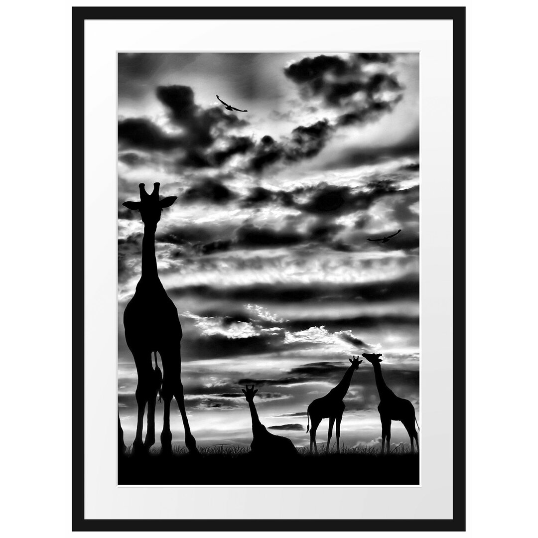 Gerahmtes Poster Afrika Giraffen im Sonnenuntergang