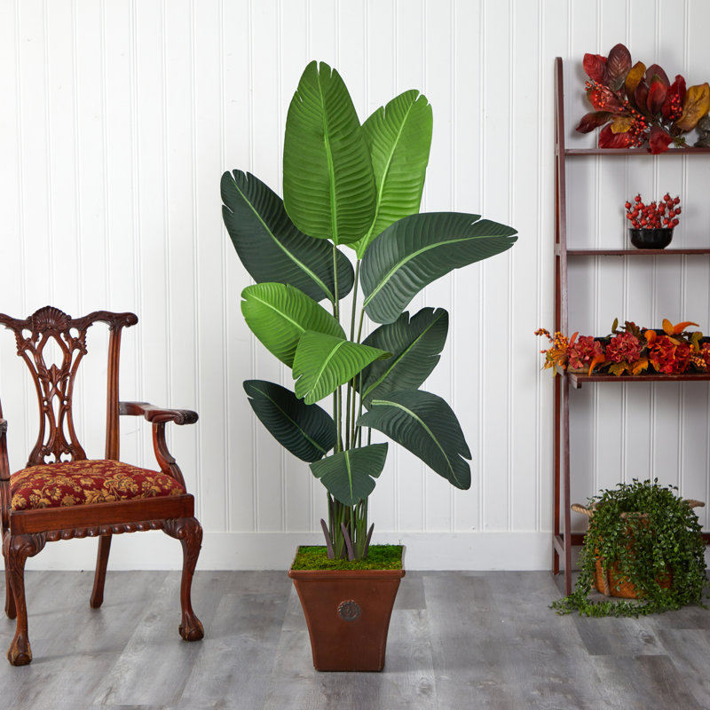 66'' Faux Palm Tree in Planter