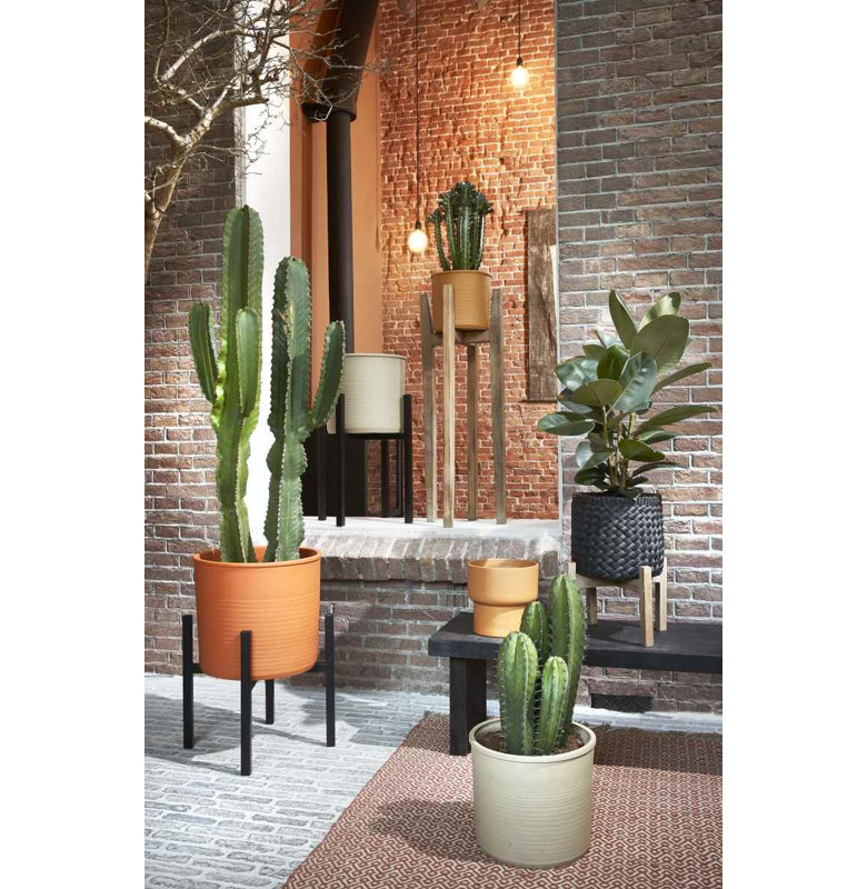 Momo Ceramic Pot Planter