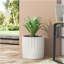 MGO PLANT