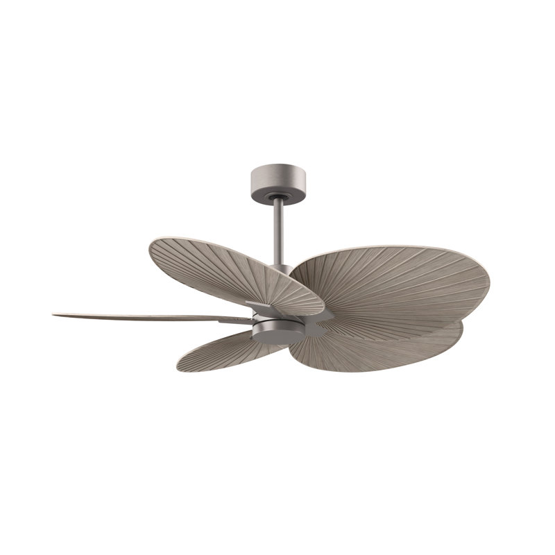 Alessandra - Five Blade Ceiling Fan, Gray Ash Tone, Brushed Nickel