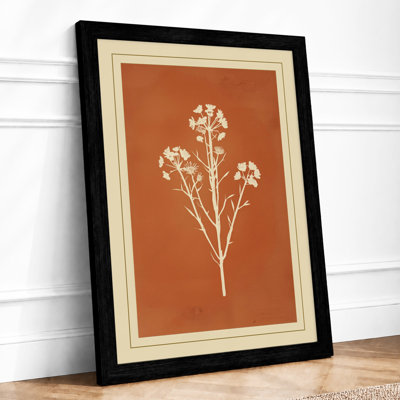 Herbarium Study Botanical - Framed Print