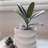 Ceramic Pot Planter-1468466868-1452100186