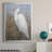 " White Heron II "-1463168759-1463168755