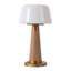 Clemence 11-in Red dimmable LED Table Lamp-110901801