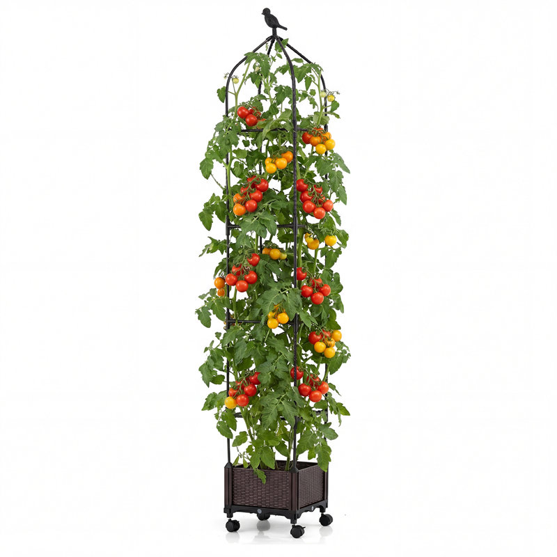 200cm H x 30cm W Gothic Trellis