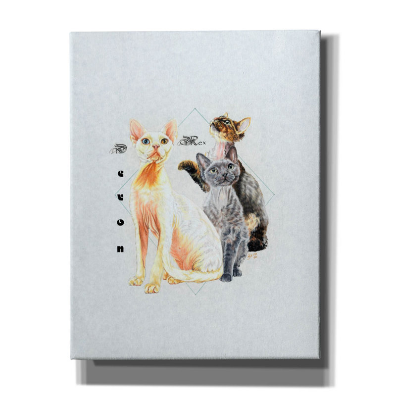 "Devon Rex" par Barbara Keith, H 34 po x l 26 po x P 1,5 po
