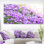 " Beautiful Campanula Flower Bouquet "