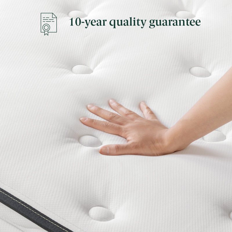 Sleep Number Pillow Top Wayfair Sleep™ 12