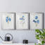 «Blue Blossom Botanical I», ensemble de 3 reproductions de cadres photo-566303040-566303042