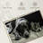 Dog And Cat Friends-107501237