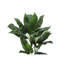 Plante artificielle