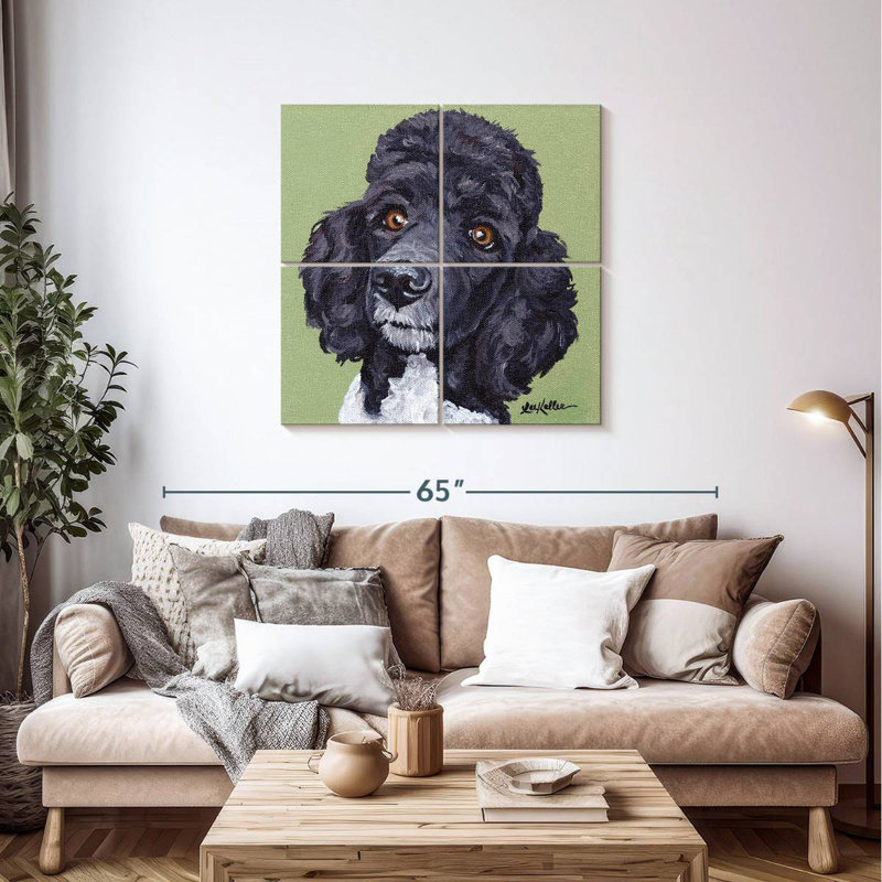 Caniche Brampt standard Tommy, H 38 po x l 38 po
