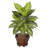 Golden Dieffenbachia Silk Plant with Wood Planter