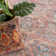 Oriental Indoor Rug