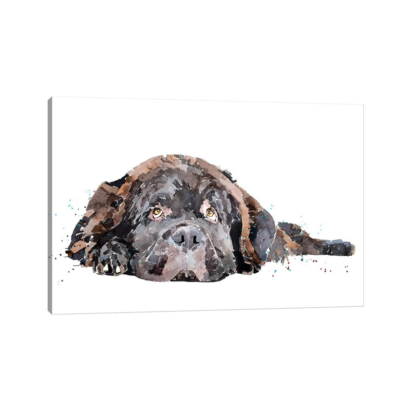 Newfoundland Dog - Wrapped Canvas Painting, 101.6 cm H x 66.04 cm W x 3.175 cm D