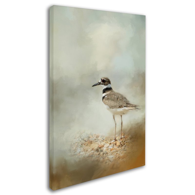 «Killdeer on the Rocks», impression sur toile tendue Vidur, H 24 po x l 16 po