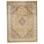 Oriental Area Rug in Gold