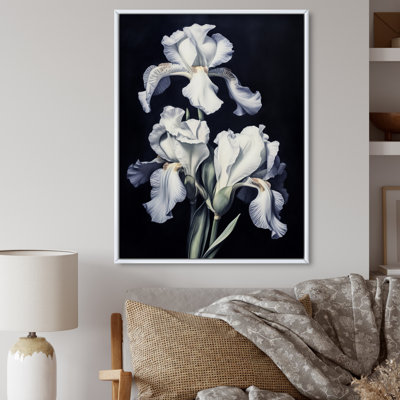 " Gray White Petal Of Iris "