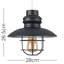 26.5cm H Metal Novelty Pendant Shade ( Spider )-23659971