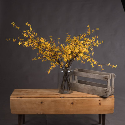 Anastasija Arrangement