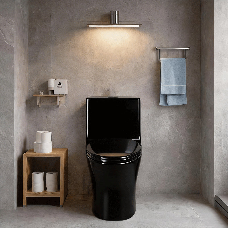 Toilette allongée une pièce à double chasse 1,1 / 1,6 GPF avec 16,34 po | Siphon Jet, Noir