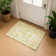 Premium Machine Washable Lucchesi AMF1729 Global Rug