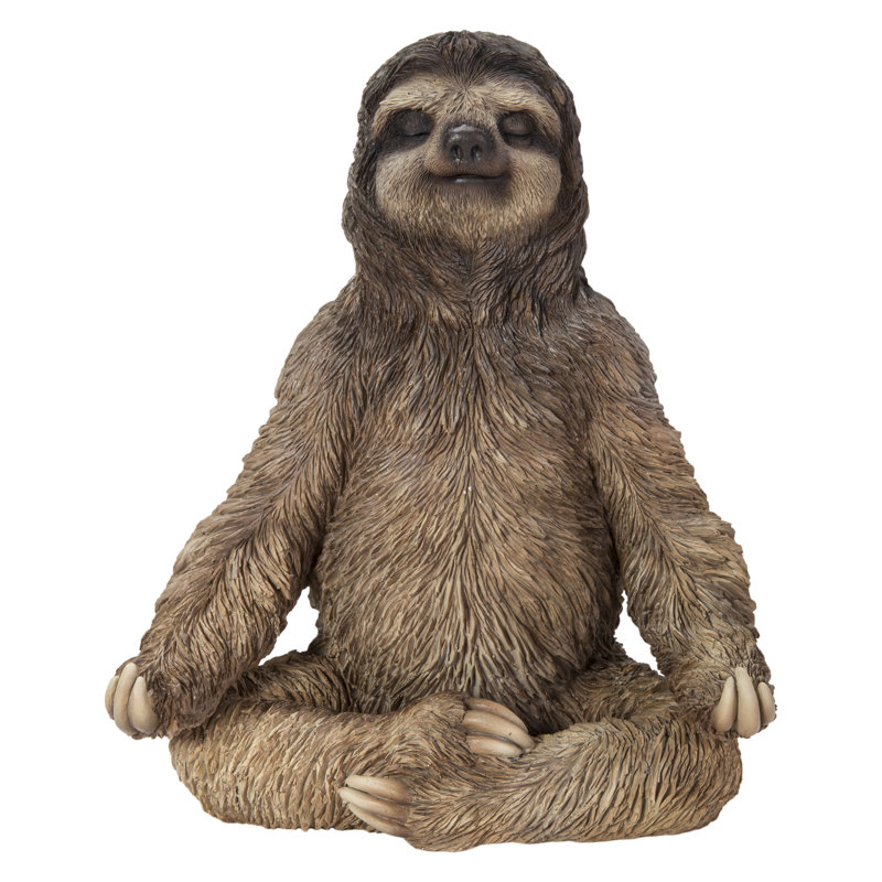 Paresseux en méditation