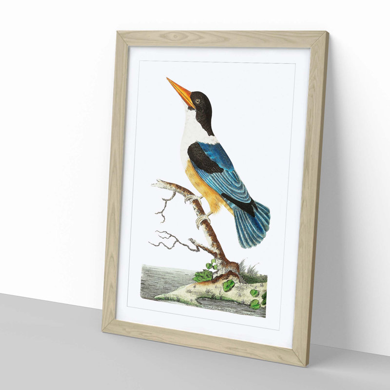 Blue Kingfisher by George Shaw - Picture Frame Painting, Oak, 60cm H x 40cm W x 2cm D