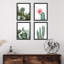 Blooming Flower Desert Cactus, ensemble de 4 décorations murales encadrées 4 pièces-93012167-93012170