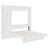 White is out of stock selected